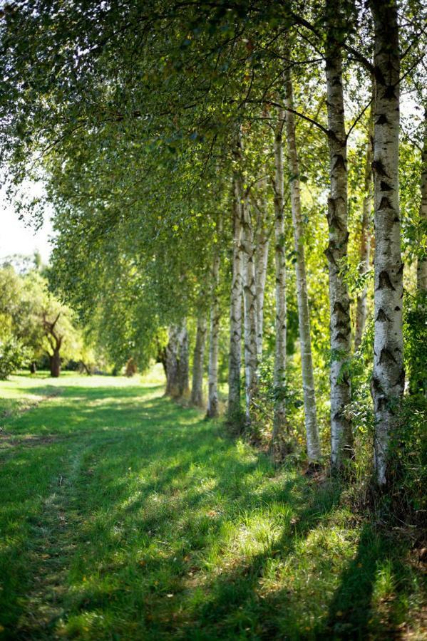 Obere Muehle - Scheunenwohnung Mitten Im Gruenen Baunach Esterno foto