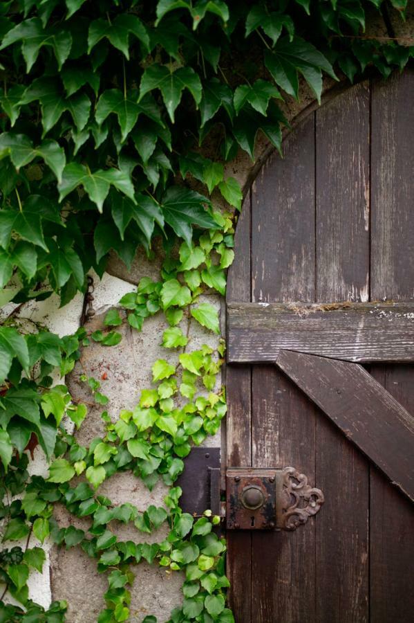 Obere Muehle - Scheunenwohnung Mitten Im Gruenen Baunach Esterno foto