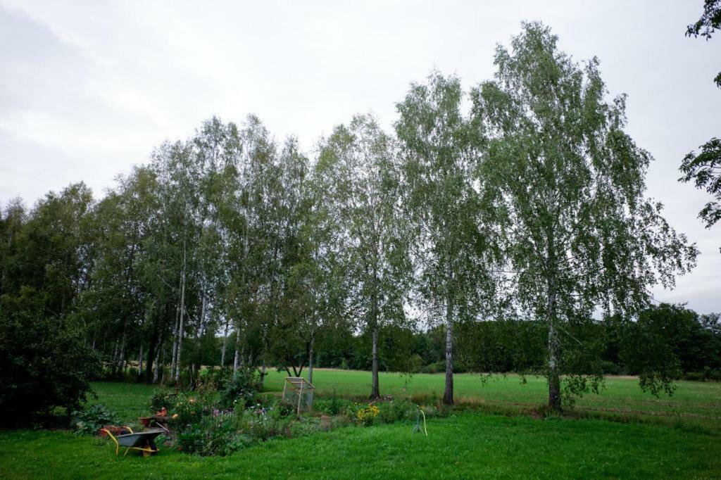 Obere Muehle - Scheunenwohnung Mitten Im Gruenen Baunach Esterno foto